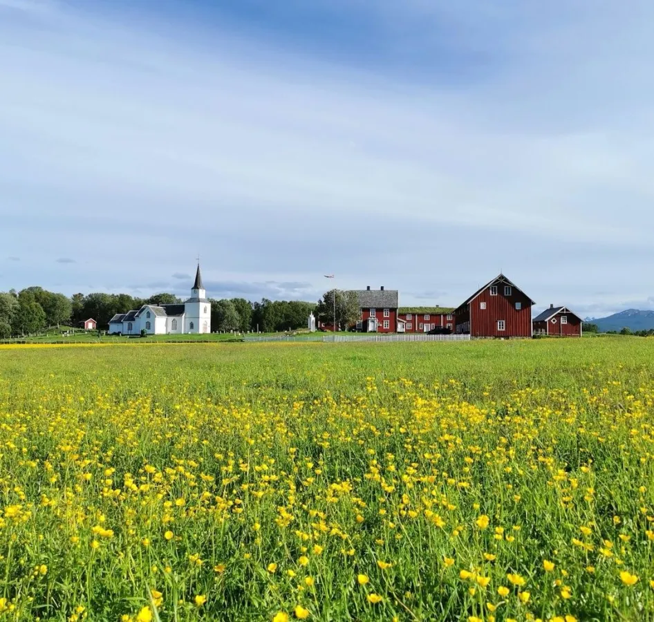 Senjamoments Tranøya