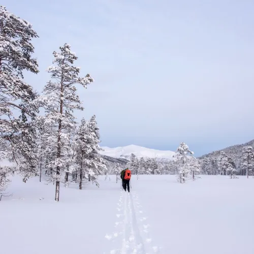 Skitur i Ånderdalen