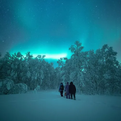 Ånderdalen Nasjonalpark - guidet trugetur 