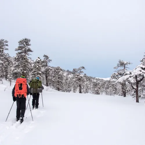 Skitur i Ånderdalen 