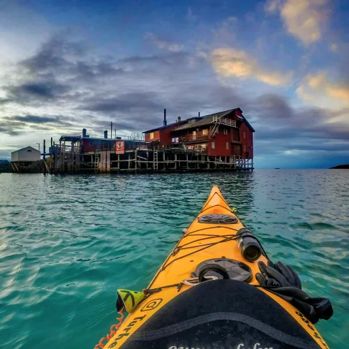 Hege Enge Dekkerhus, Norwegian Wild