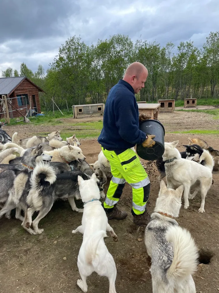 Besøk i huskykennel