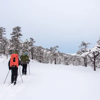 Skitur i Ånderdalen (kred Dag A Larsen)