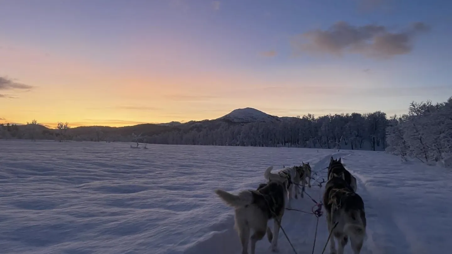 Senja Husky Adventure